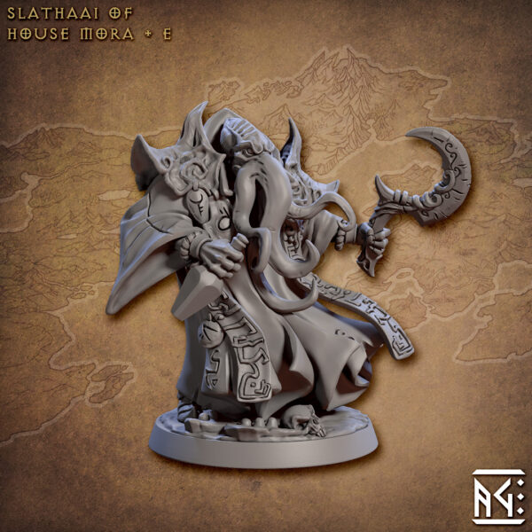 cd078831918b0899fcfd1a7f8ff7d708.jpg House Mora Slathaai - x1