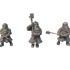 Dwarven Varjags - Krasnoludzkie Varjagi 3 Pozy