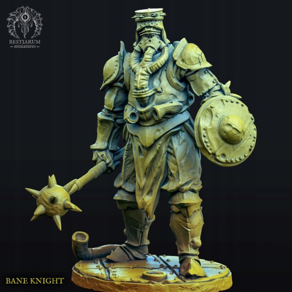 Bane Knights - Druk 3D