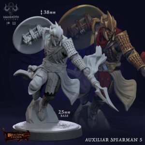 Auxilliar Spearmen - #5