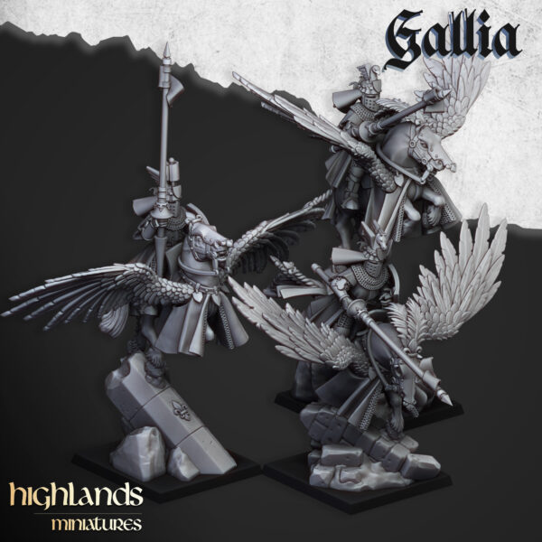 d04af01b9e27564f249ed0a63c2fd0f8.jpg Pegasus Knights - x3