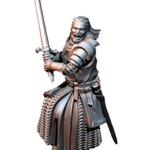 d10c38b00823d8276bf6fcebaf3ad27d.png High humans Prince on foot - x1