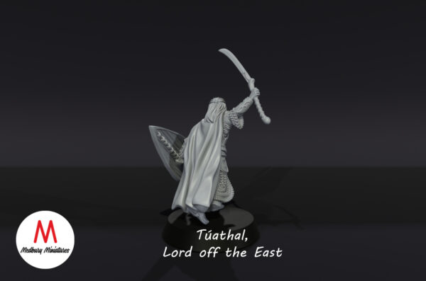 d12ef8499b867e3e2b858414146e4d4f.jpg Tuathal, Lord of The East - Wood Elves