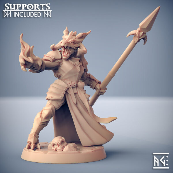 d2c9b17353bfe79e9e7188436f13189c.jpg The Dragonguard - x1