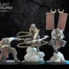 Dark Elves - Dakumun Shinobi CG - Minifaktura