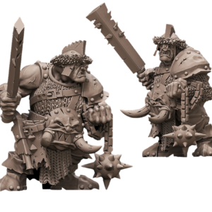 Ogre Mercenary