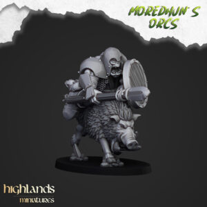 d6ea4744dd99d0e3d7402cda00288c10.jpg Mounted Orcs with Spears - x5