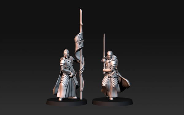 Bloody Elves Commanders - 2 Pozy