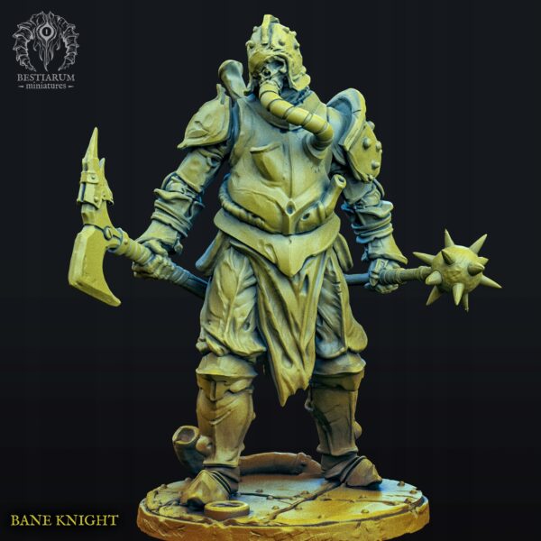 Bane Knights - Druk 3D