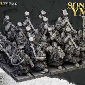 Dwarfs Kingsguard - 20x