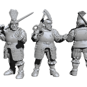 The Empire Ogre Captain - x1