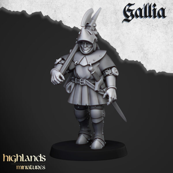 Knights of Gallia on Foot - x17 + 3 CMD