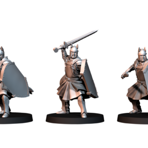 High humans warriors with Swords and Shields - x6