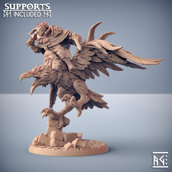 eb61da740f326f32d79a750368a9fe35.jpg Aaron on Shadowclaws the Dire Raven
