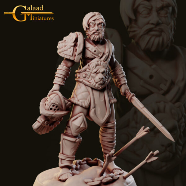 ef4ca187adee0682876ab62a593f380c.jpg Swordman
