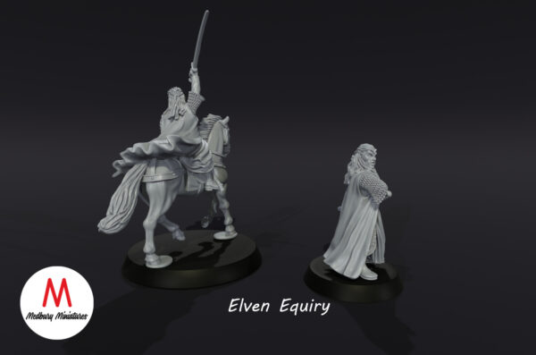 Elven Equiry - Zestaw F/M - Wood Elves