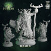 f2616d74fc8ba3bc9ce14591792dfc52.jpg Druid