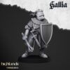 Knights of Gallia on Foot - x17 + 3 CMD
