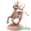 Centaur 3