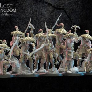 Dark Elves - Akkorokamui, Corsairs x10 - Druk 3D