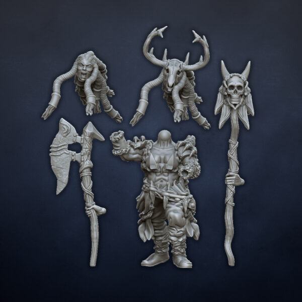 Barbarian Shaman - x1