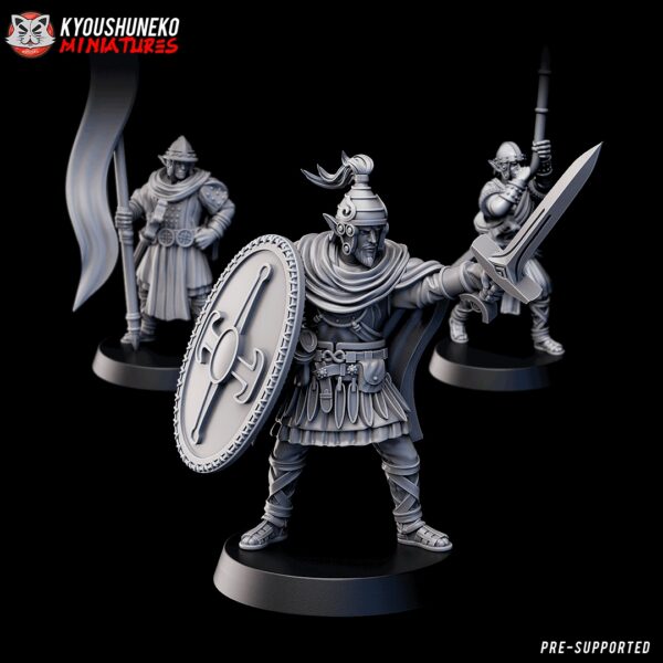 ff226ce01382f278623b9a0cbd9d597b.jpg Galeic Wood Elf Eternal Guardians CMD - Druk 3D