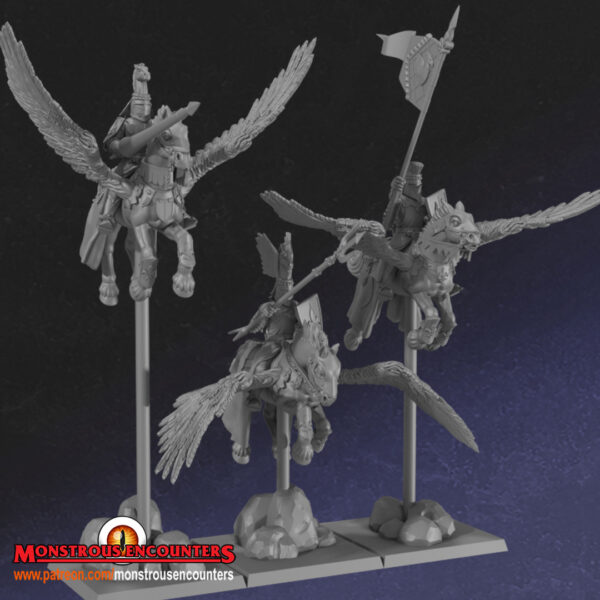 Pegasus Knights - x1