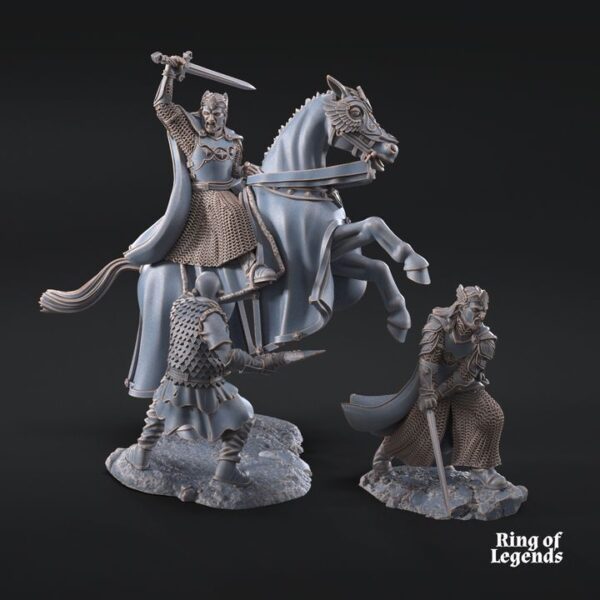02957d473e341f4131d40607374e6c08-1.jpg High King of Grey Castle mtd and foot