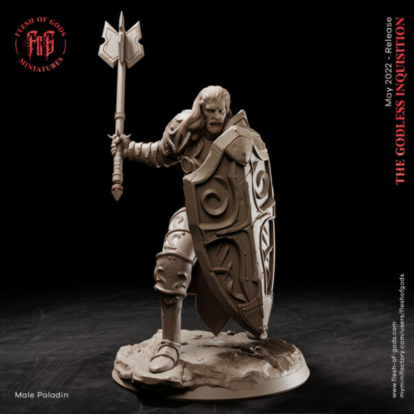 Male Human Paladin - Paladyn - Flesh of Gods