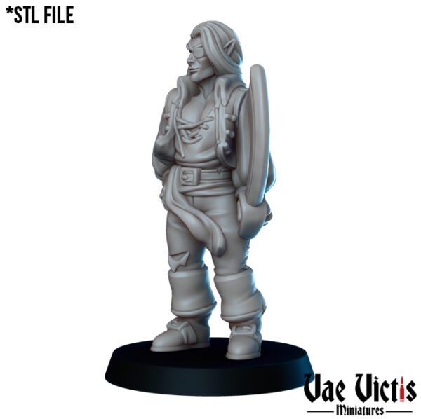 Elf pirate - x1