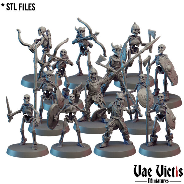 Assembled Skeletons - x13
