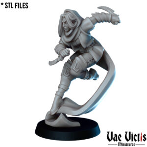 The Elf thief - x1