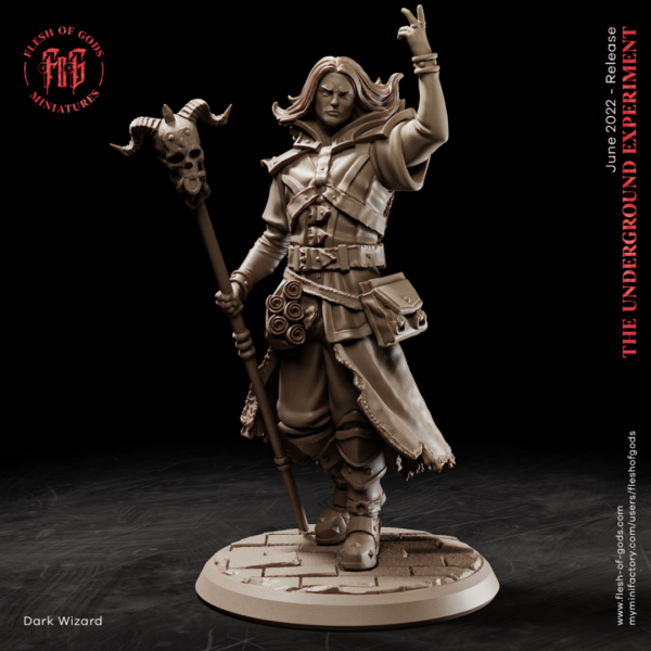The Dark Wizard - Mroczny Czarodziej - Flesh of Gods