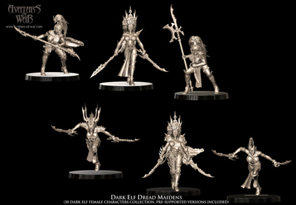 1363f7adecc3550ad70d5e667dac57b6.jpg Dark Elf Dread Maidens - x10