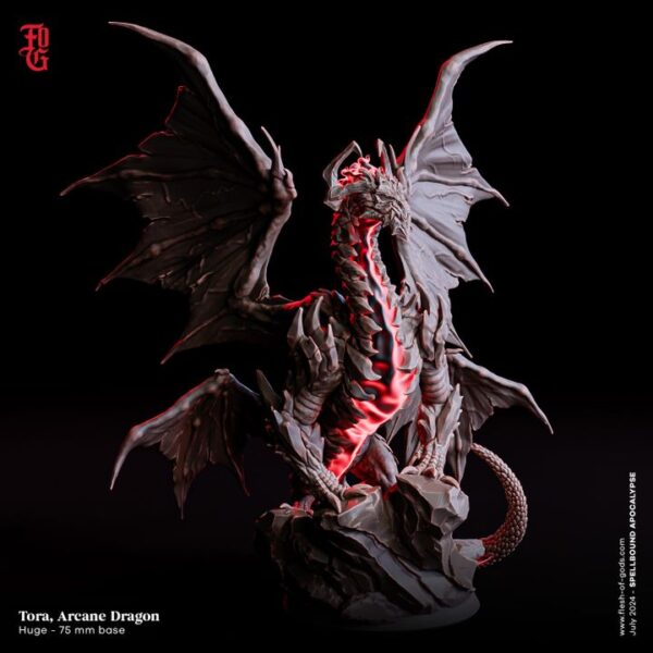 1448e2de608ba74b5792ecf24a69c888-1.jpg Tora, Arcane Dragon