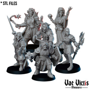 The Adventuring party