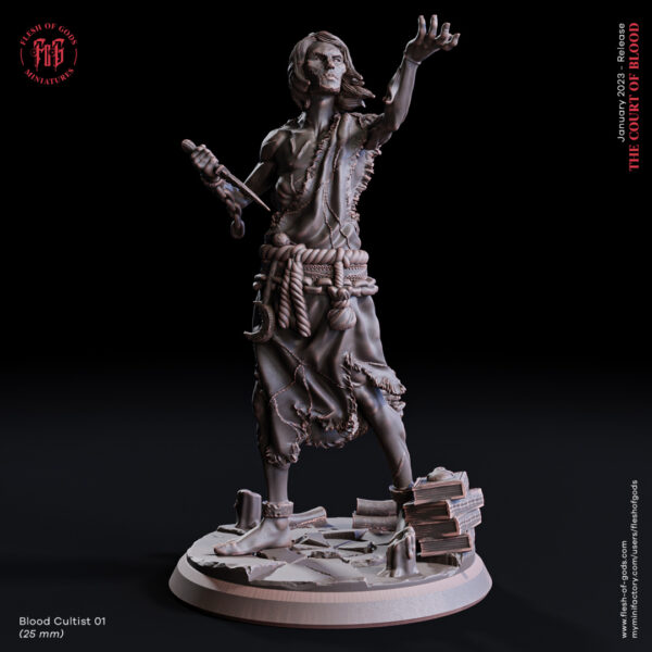 Blood Cultist 01