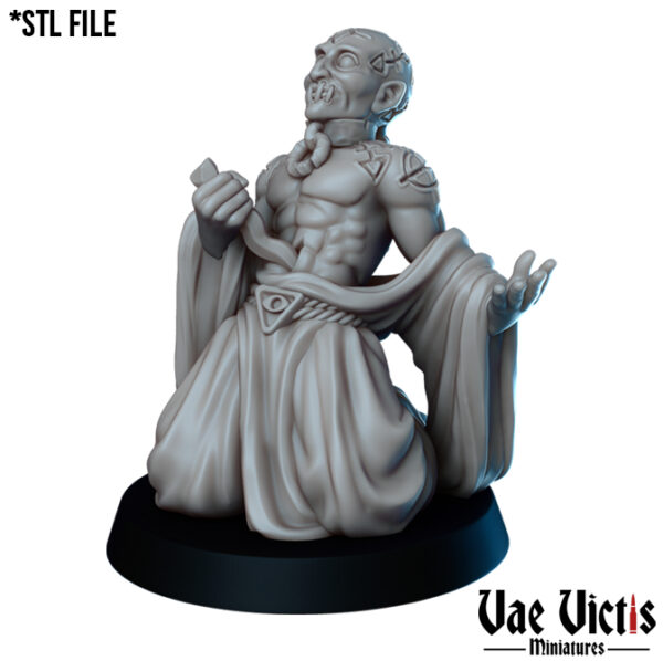 Blood Cultist - x1