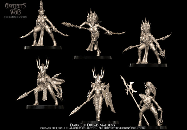 1ea897c8ced8ce82f9b90ff63d77bf4d.jpg Dark Elf Dread Maidens - x10