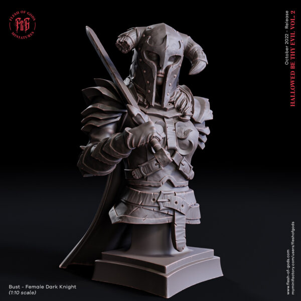1f42ac1d384105f5ab38062148d52126.jpg Female Dark Knight - Bust