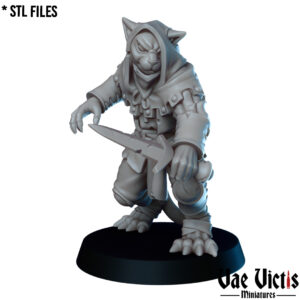 The Tabaxi bandit - x1