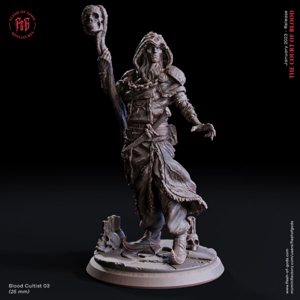 29f0a8e32a9daedff2ba51e48e808263.jpg Blood Cultist 03