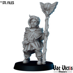 The Gnome healer - x1