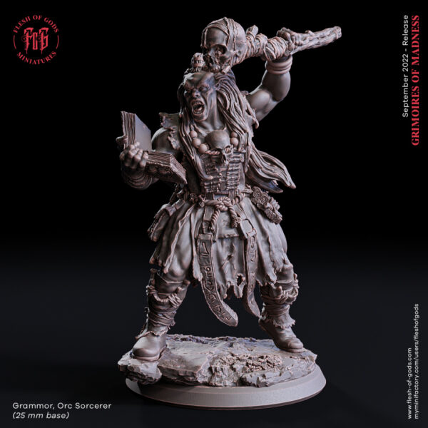 2f14c2791f5c9be2c11d433bd7293b20.jpg Grammor, Orc Sorcerer - Ork Czarodziej - Bohater