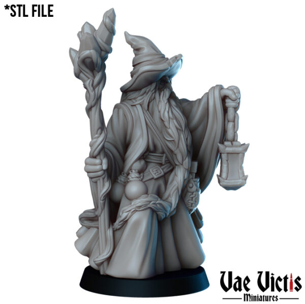Old wizard - x1
