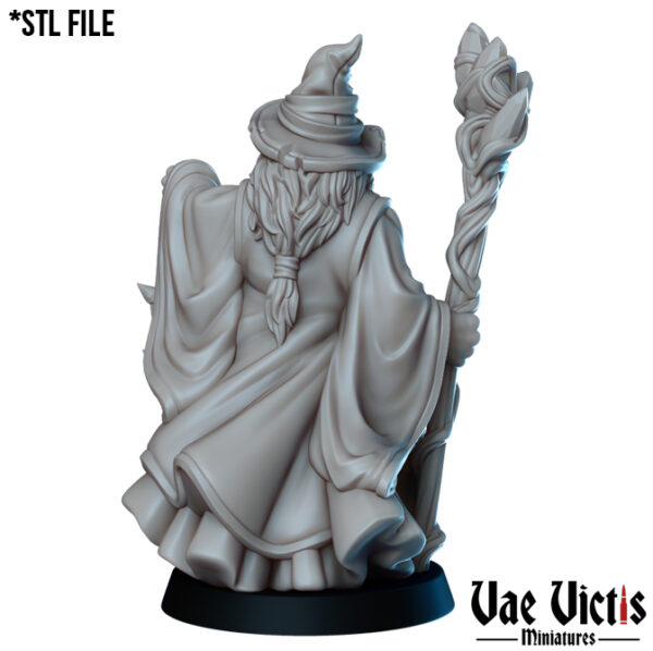 Old wizard - x1