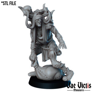 Swamp Hag - x1