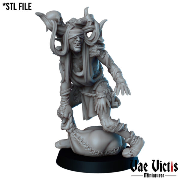 Swamp Hag - x1