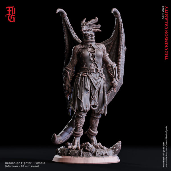 452c20db28dbcb832dfc9a49dbcf75de.jpg Draconian Fighter - Female Version