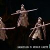 465004778_524018087091085_8256196730446377086_n Elf of Deep Valley (shieldman) x12